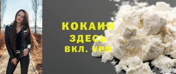 сатива Аркадак