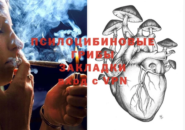 сатива Аркадак