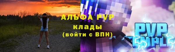 сатива Аркадак