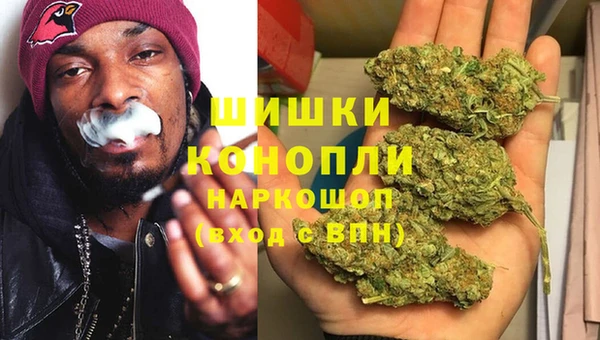 сатива Аркадак