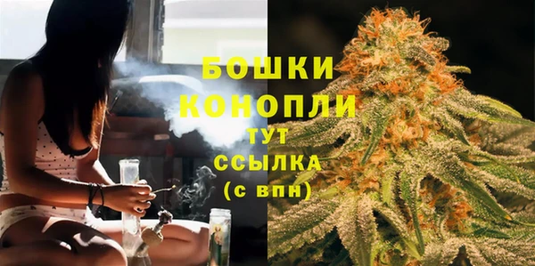 сатива Аркадак