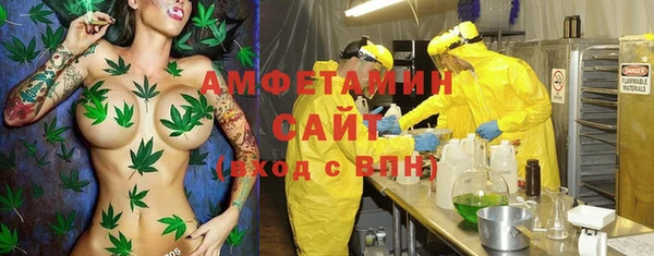 сатива Аркадак