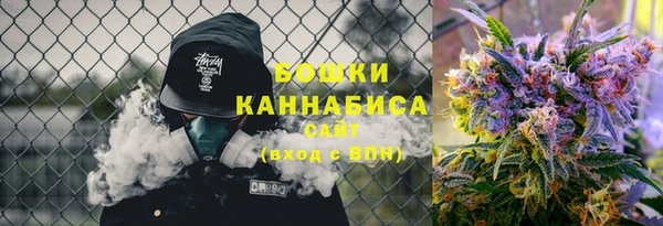 сатива Аркадак
