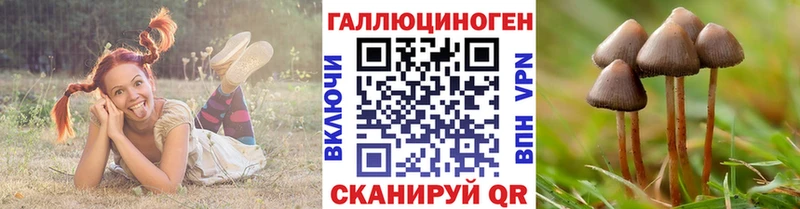 Галлюциногенные грибы прущие грибы  сколько стоит  Миасс 